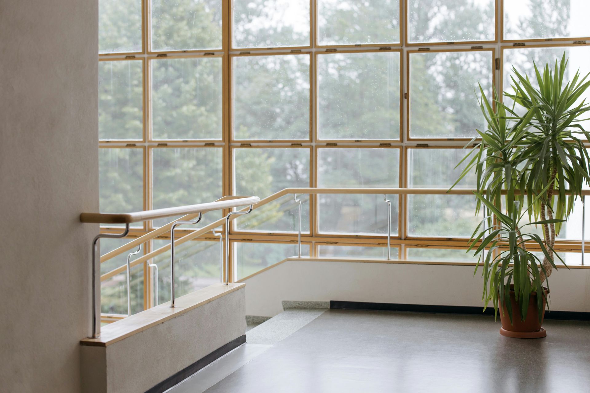 Interior view: staircase with handrail, large windows overlooking trees, potted plant.
