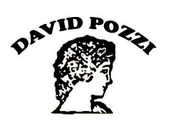 DAVID POZZI-LOGO
