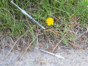 syringe or needle in grass