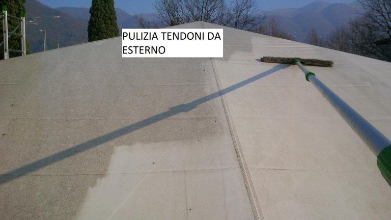 Pulizia tendoni