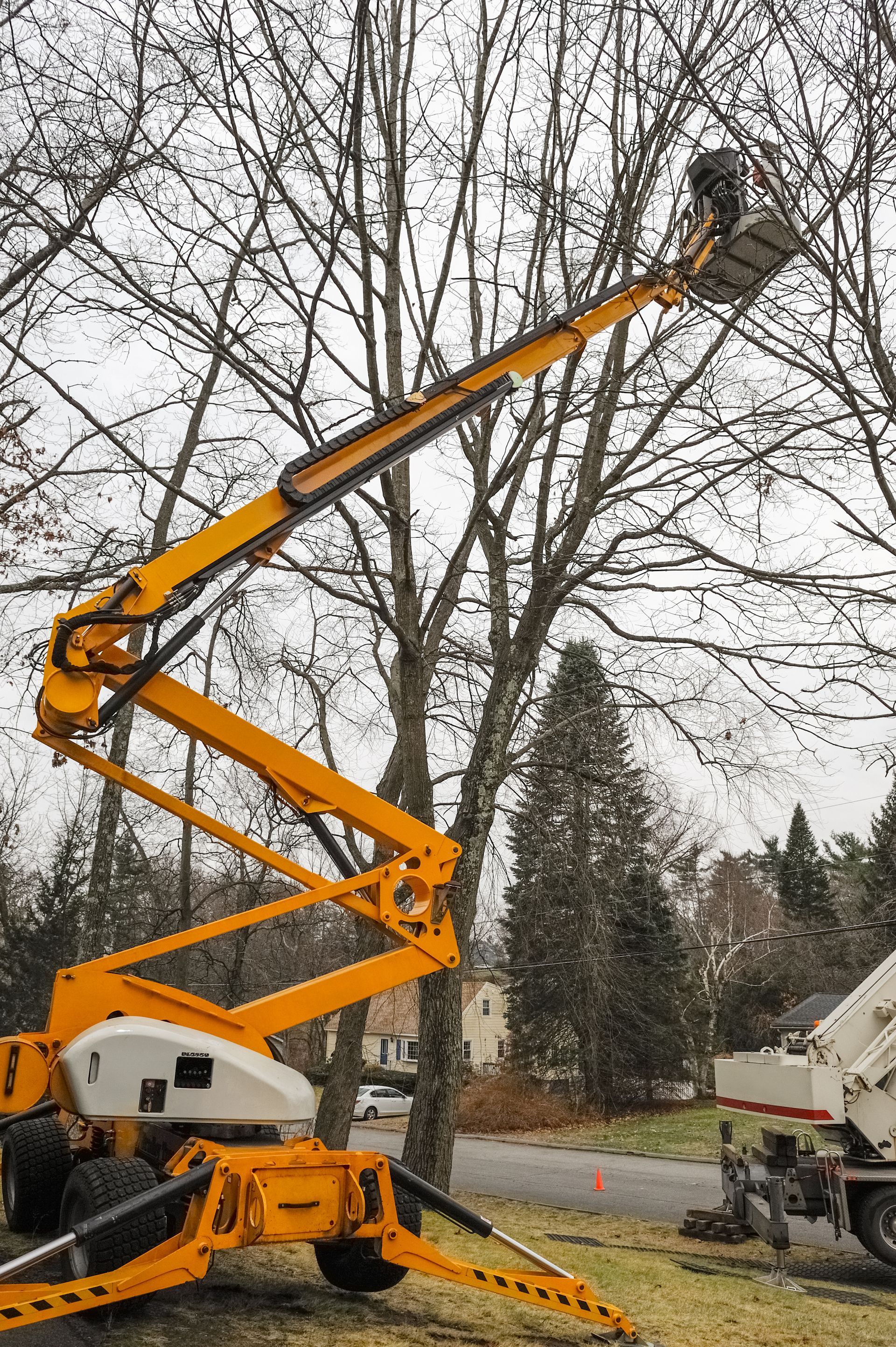 Tree removal in residential district with crane and elevator Tree removal in residential district with crane and elevator