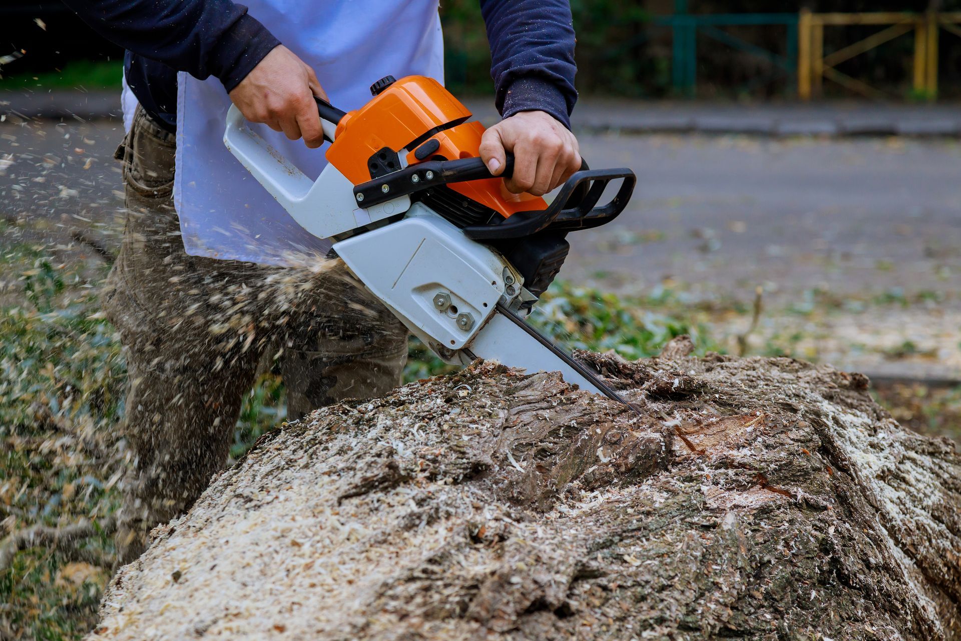 A man uses a chainsaw to cut down a tree in preparation for residential tree removal. A man uses a chainsaw to cut down a tree in preparation for residential tree removal.