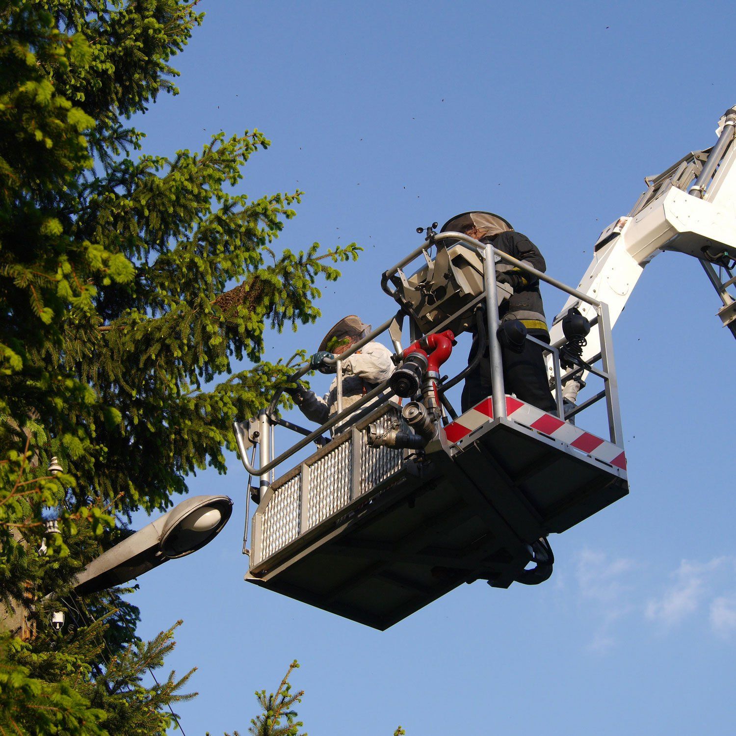 Residential Tree Services — Dedham, MA — Royer Tree Service Inc