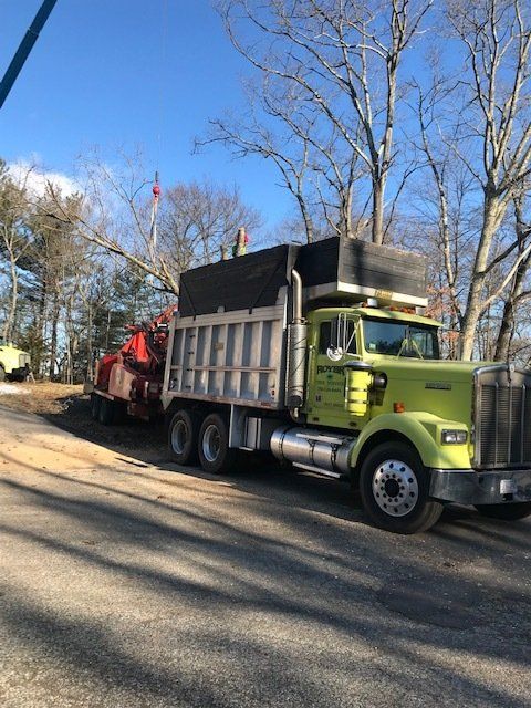 Tree Trimming Services l Dedham, MA l Royer Tree Service Inc