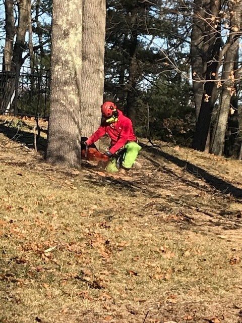 Man With Chainsaw — Dedham, MA — Royer Tree Service Inc