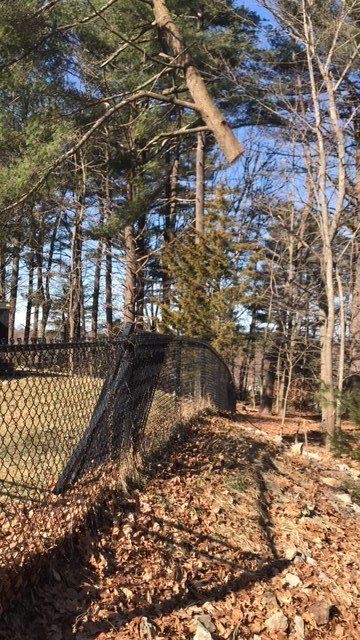 Screen Fence — Dedham, MA — Royer Tree Service Inc