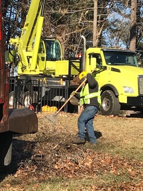 Man Cleaning Tree Branches — Dedham, MA — Royer Tree Service Inc