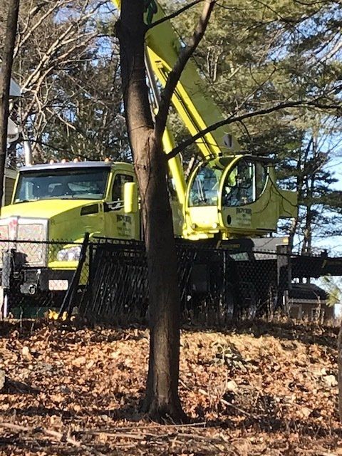 Yellow Lift Work Truck — Dedham, MA — Royer Tree Service Inc