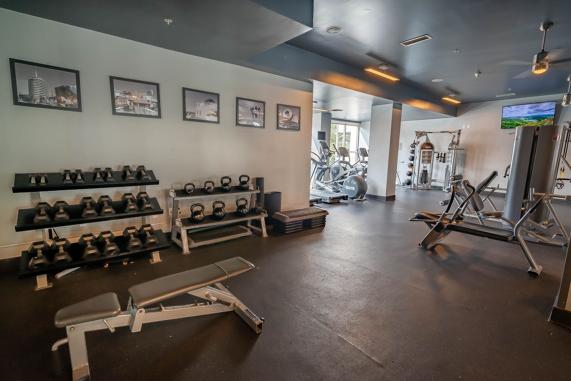 A gym with a lot of dumbbells and a bench.