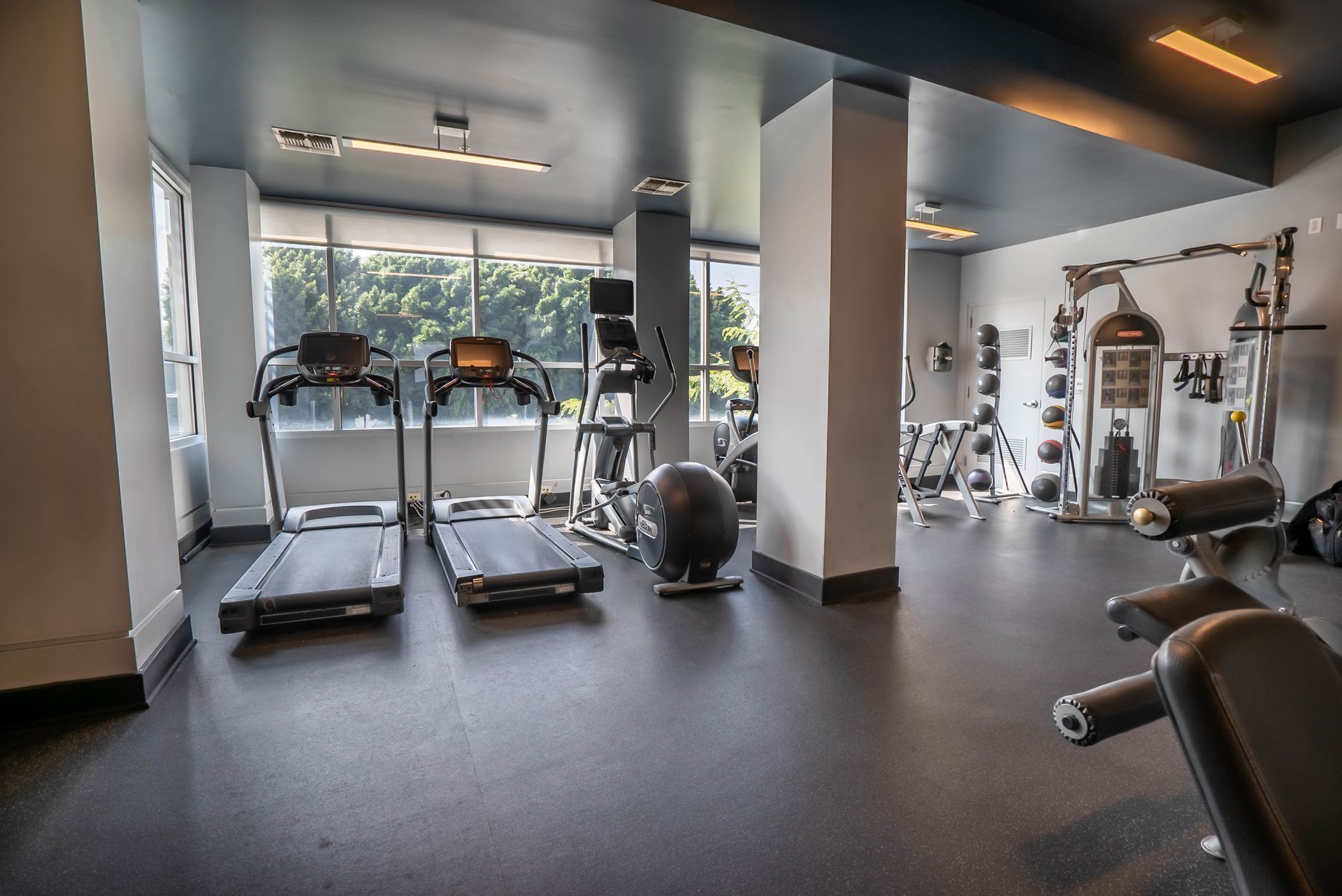 A gym with treadmills , a dumbbell , and a ball.