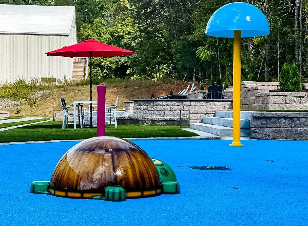 A water park with a turtle and umbrellas.