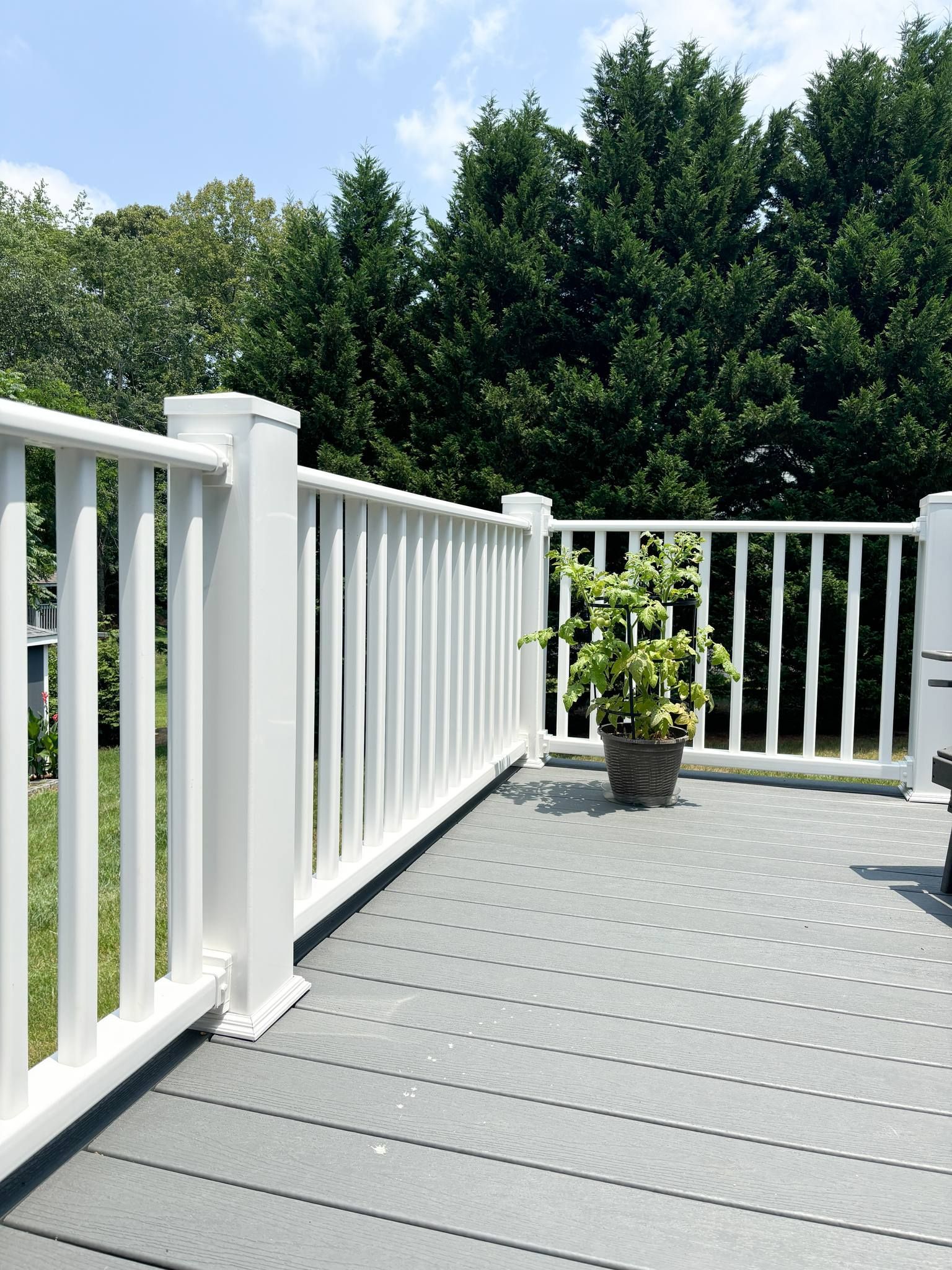 A deck with a white railing and a potted plant on it