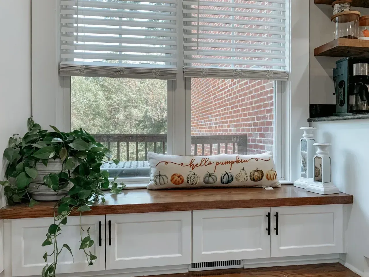 There is a pillow on the window sill in the kitchen.