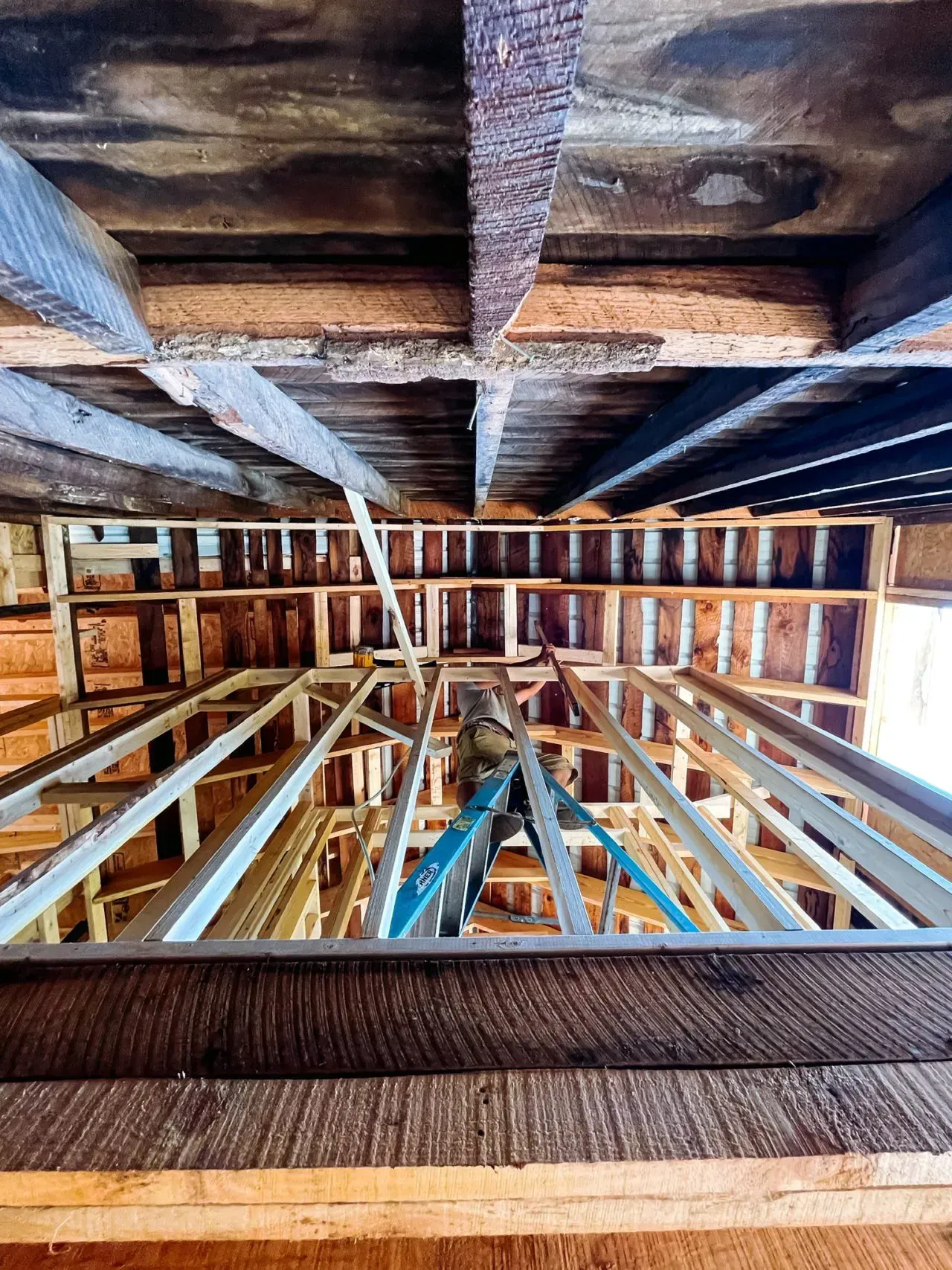 Looking up at the ceiling of a building under construction.