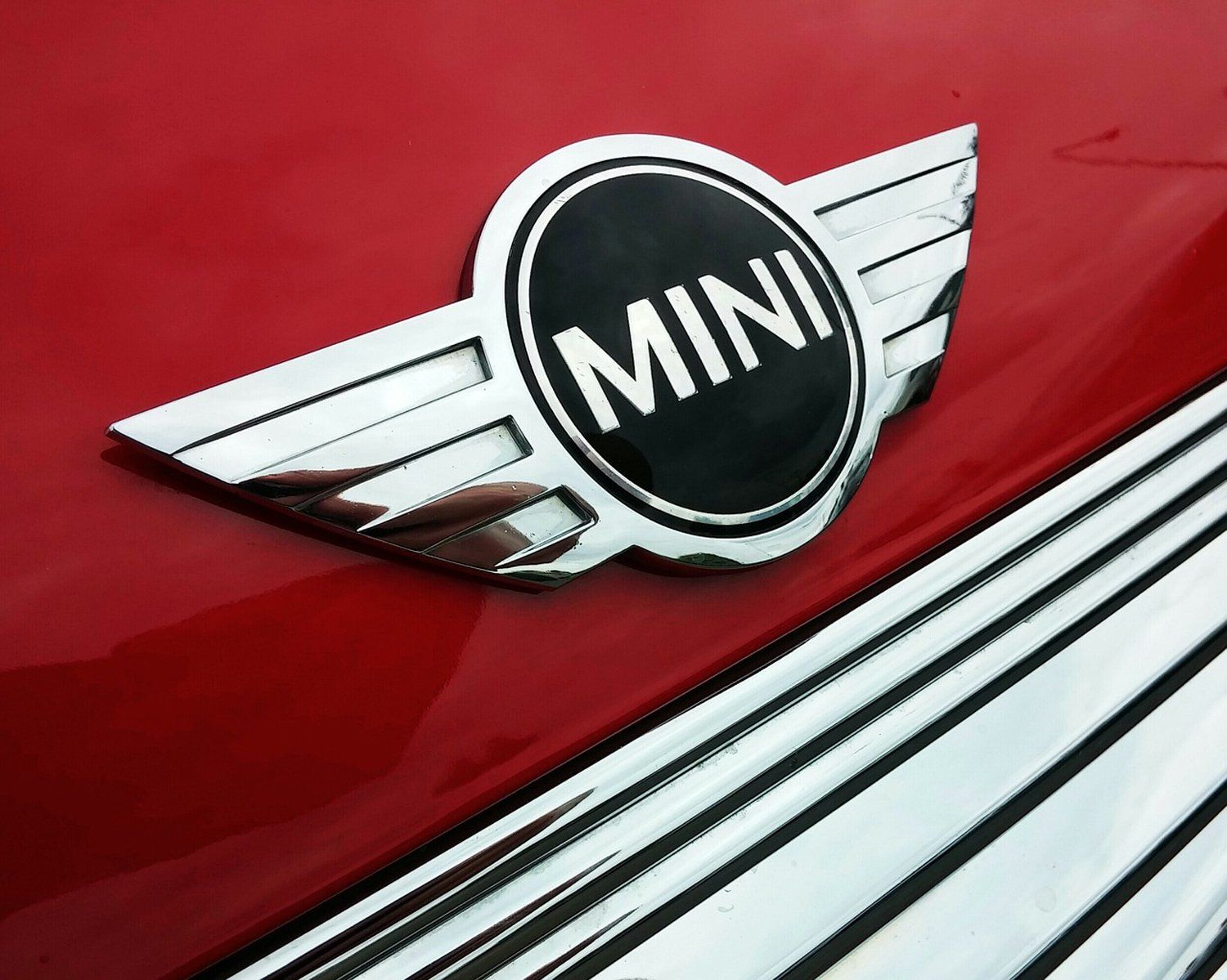 Mini logo