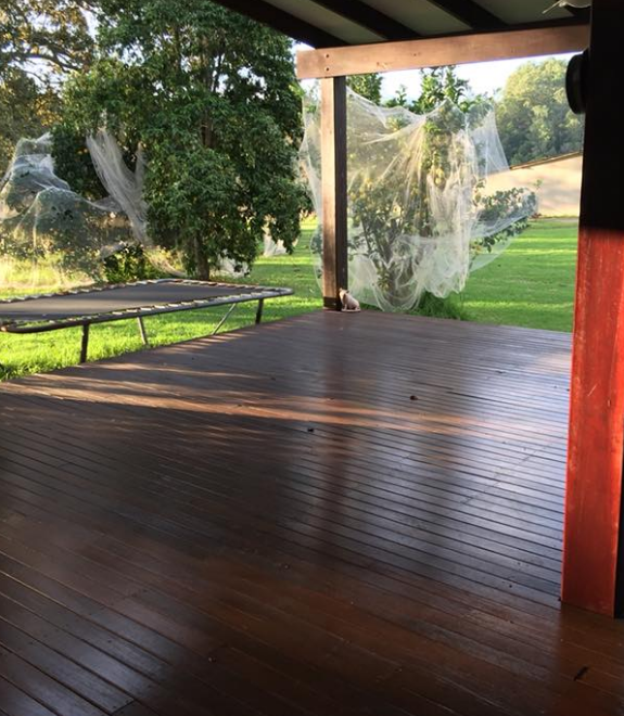 Wooden Deck Overlooking a Grassy Yard — Alcando Renovations and Maintenance In Wingham, NSW