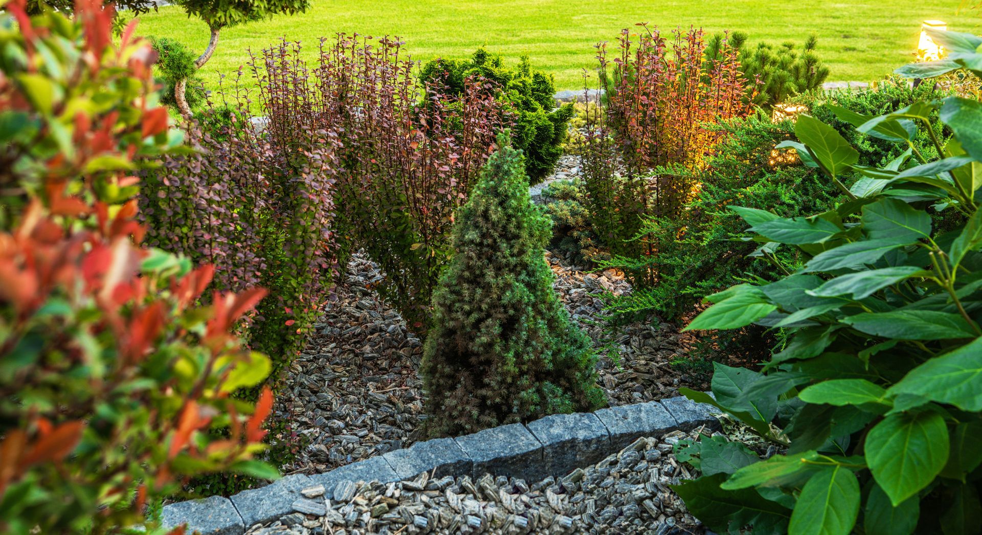 A garden filled with lots of plants and rocks.