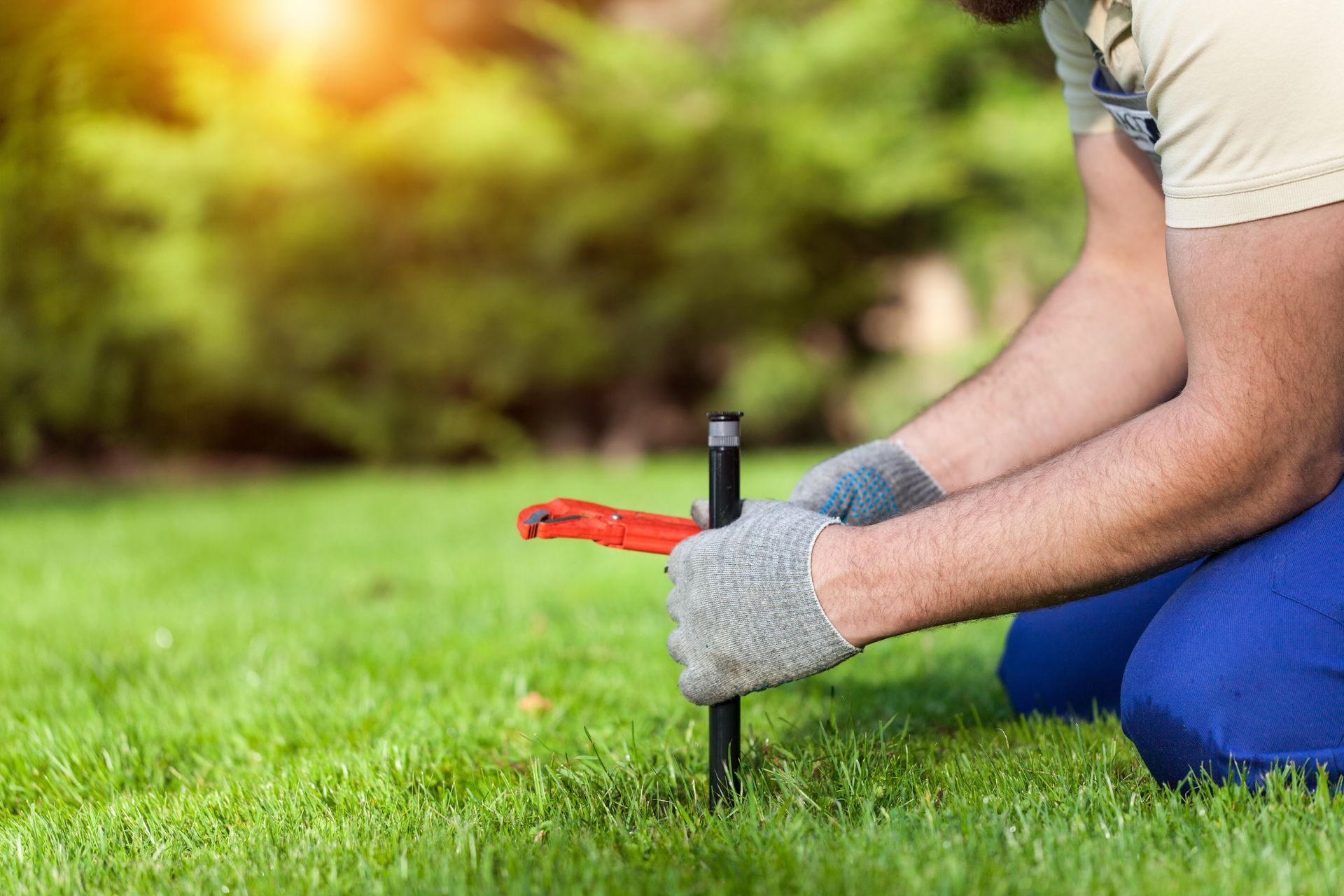 A man is installing a sprinkler in a lawn.