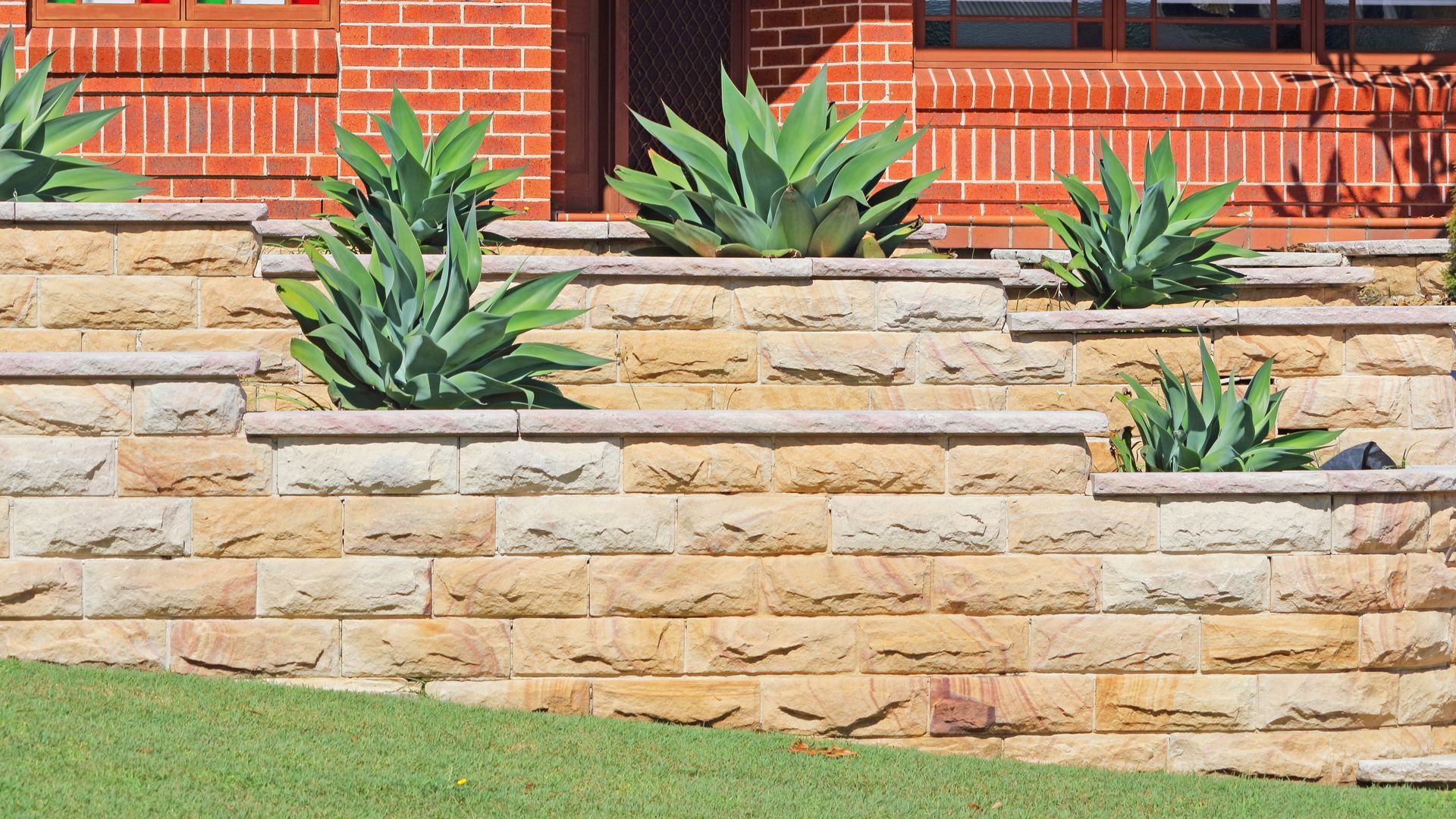 A brick wall with plants growing on it in front of a brick house.