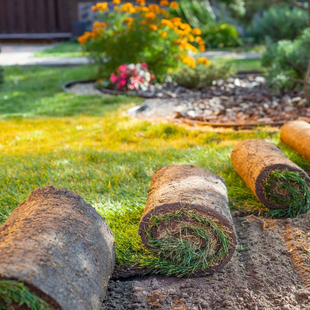 three rolls of turf are sitting on the ground in a garden .