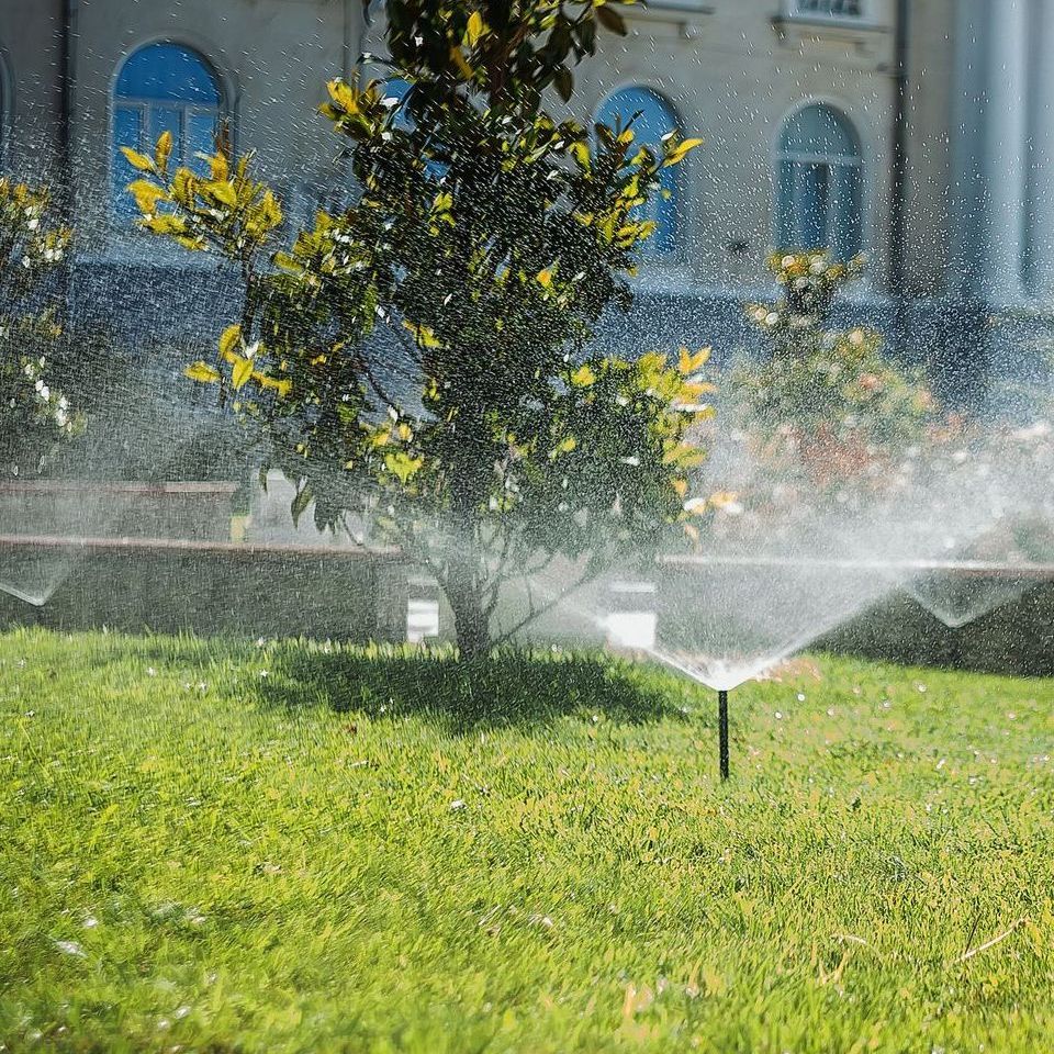 a sprinkler is spraying water on a lush green lawn in a park .