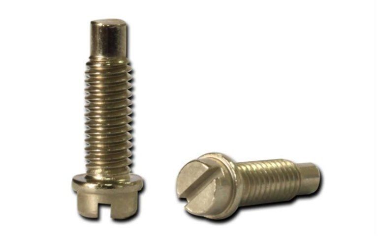 vite particolare in metallo