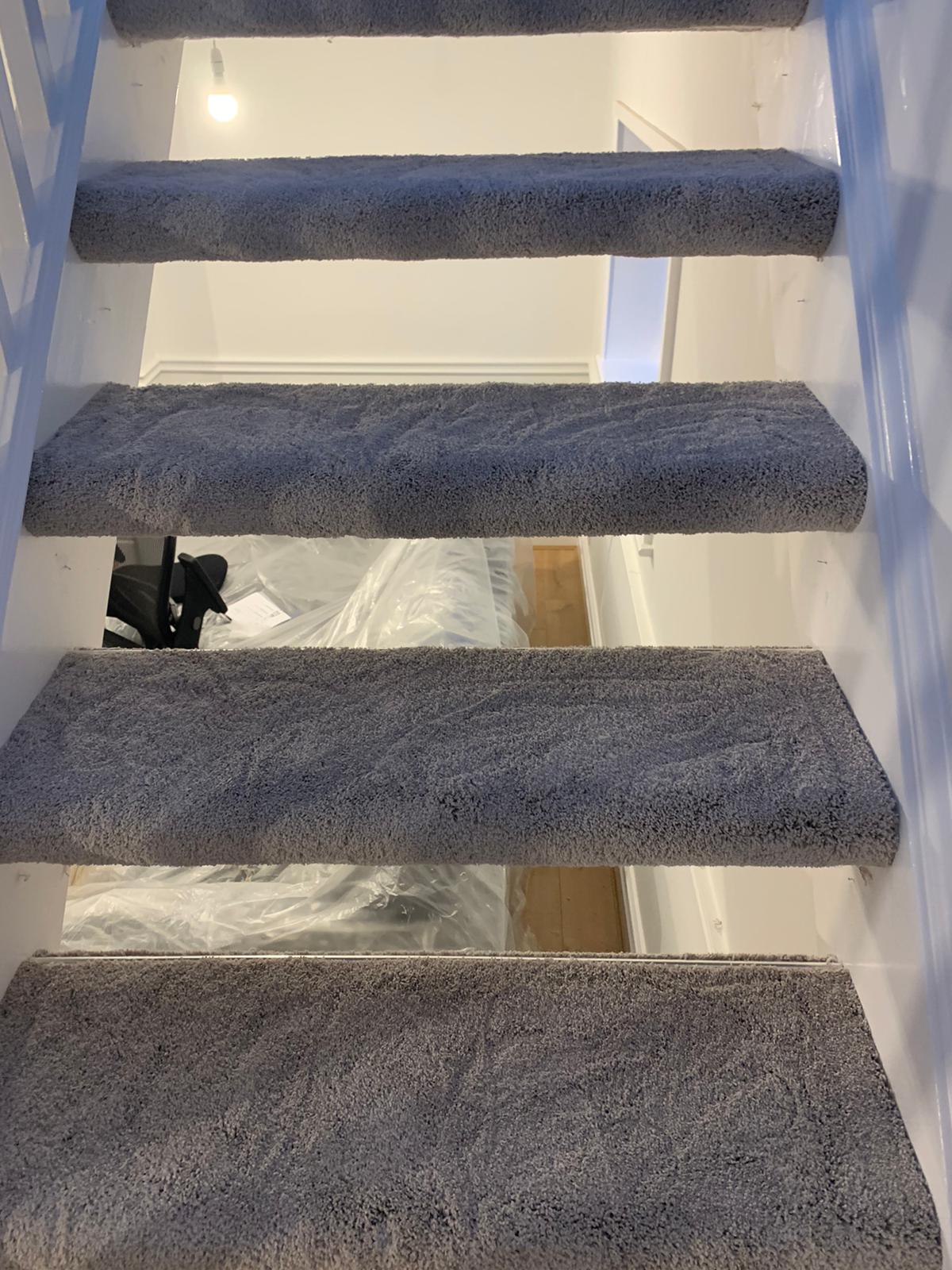 A close up of a set of stairs with carpet on them.