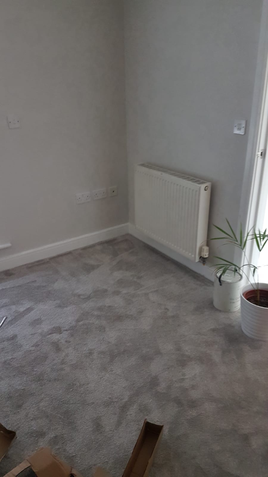 A living room with a radiator and a potted plant.