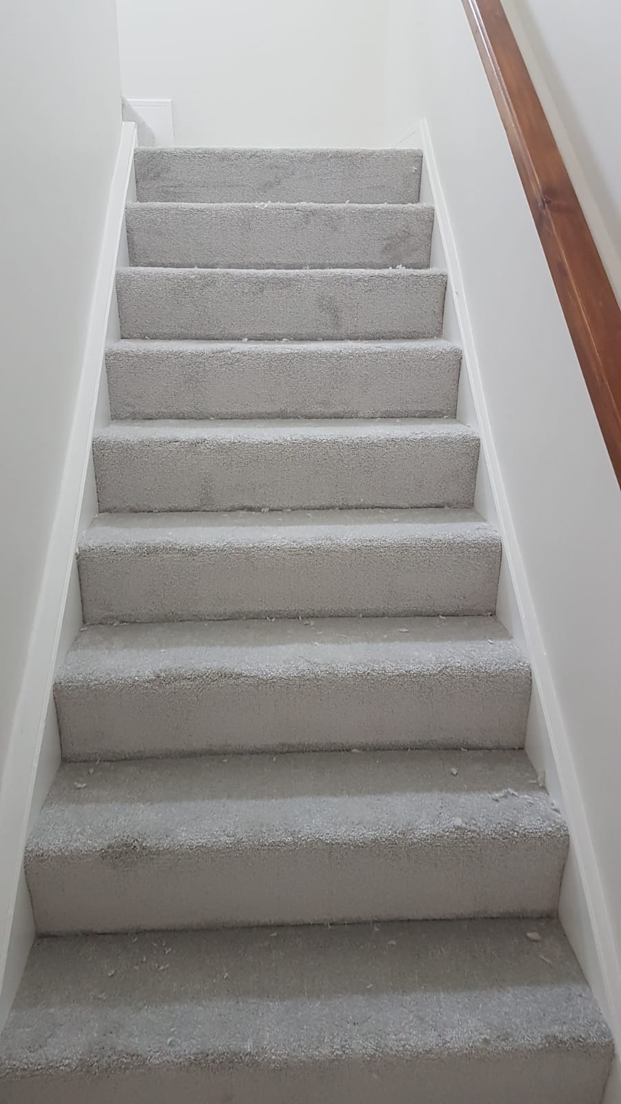 A set of stairs with carpeted steps and a wooden railing.