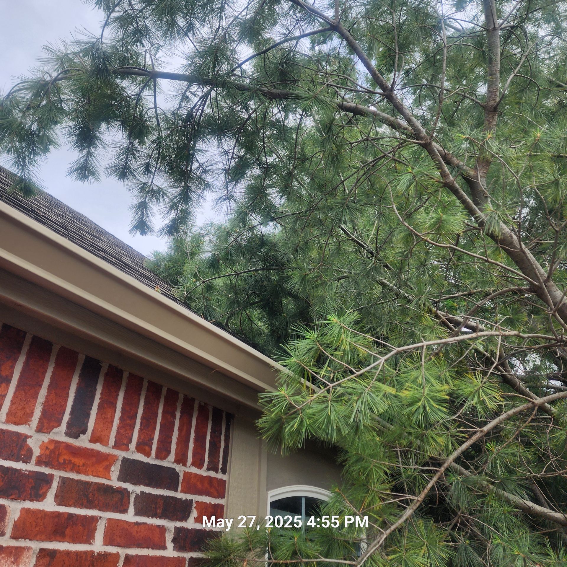 A brick house with a tree on the side of it