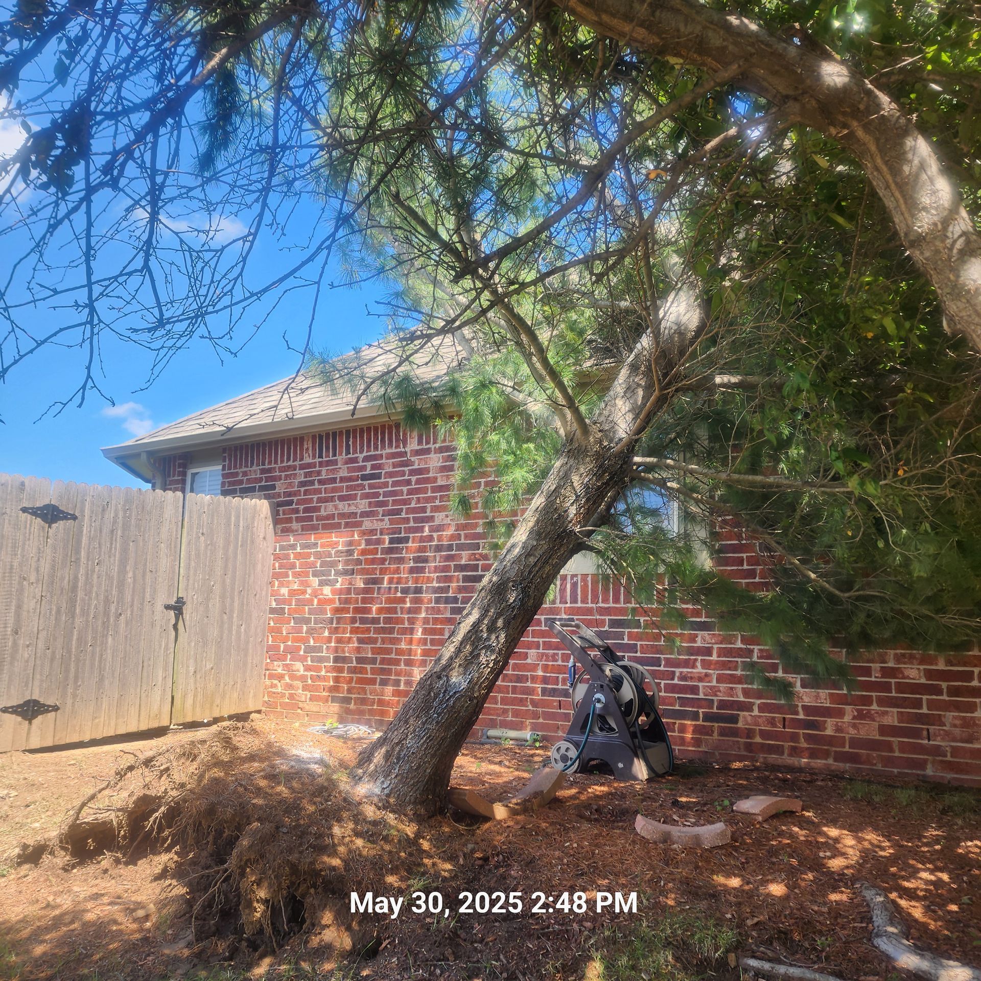 A tree that has fallen in front of a brick house.