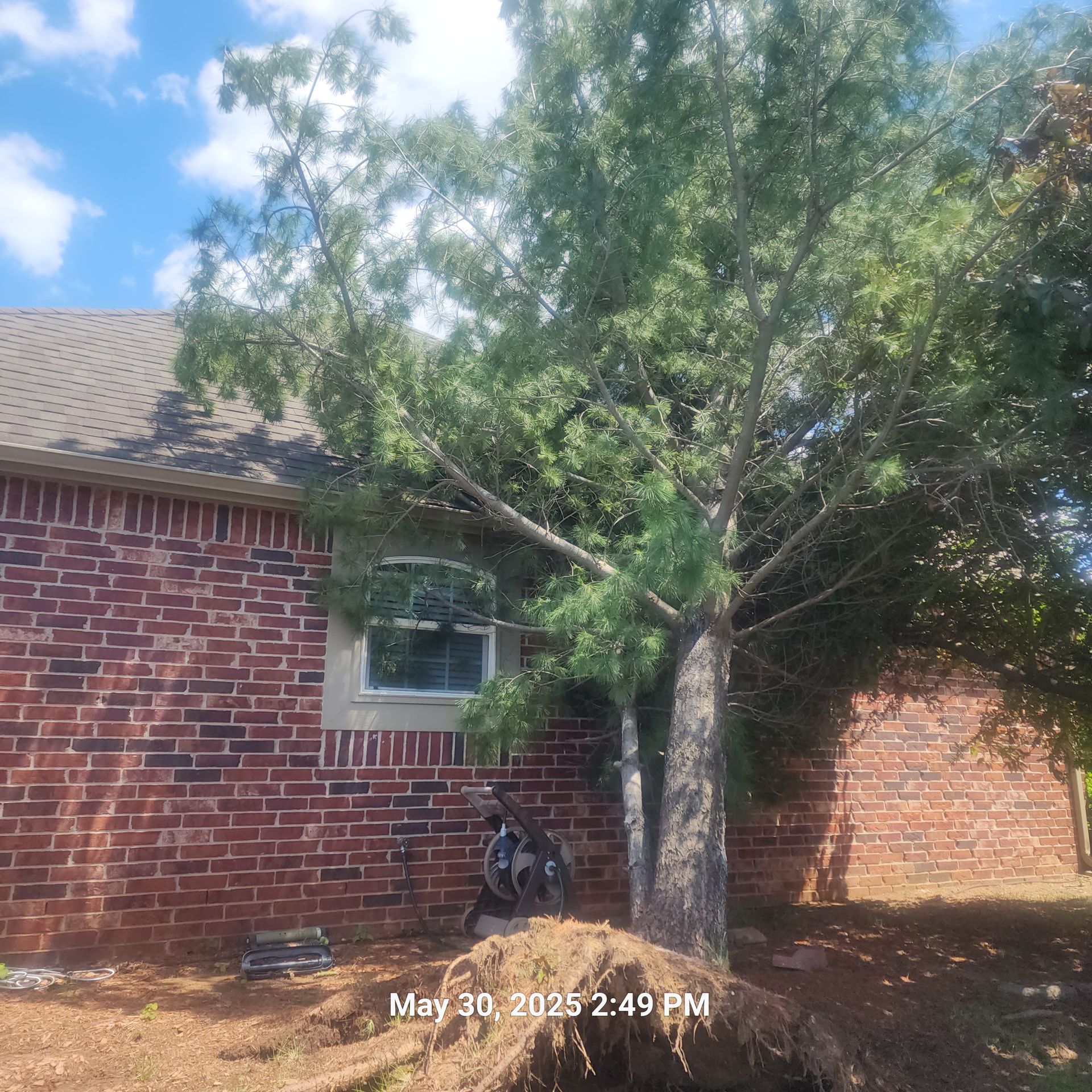 A brick house with a tree in front of it