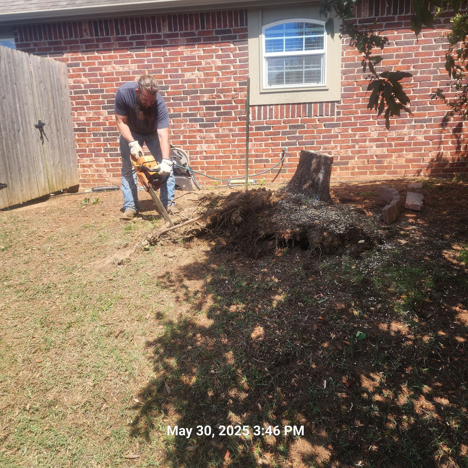 A man is using a chainsaw to remove a tree stump in front of a brick house.