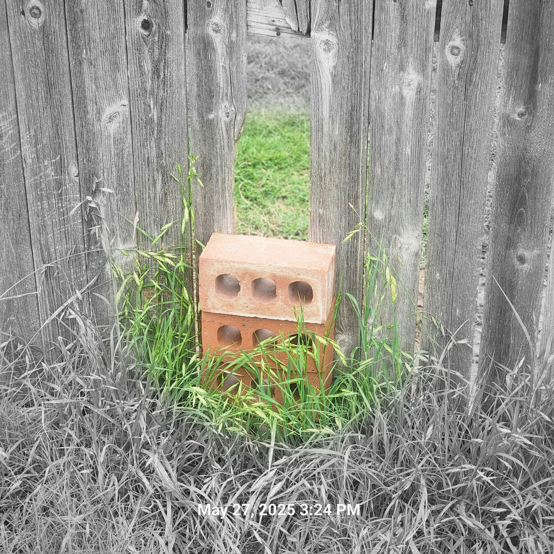 A brick is sitting in the grass between two trees.