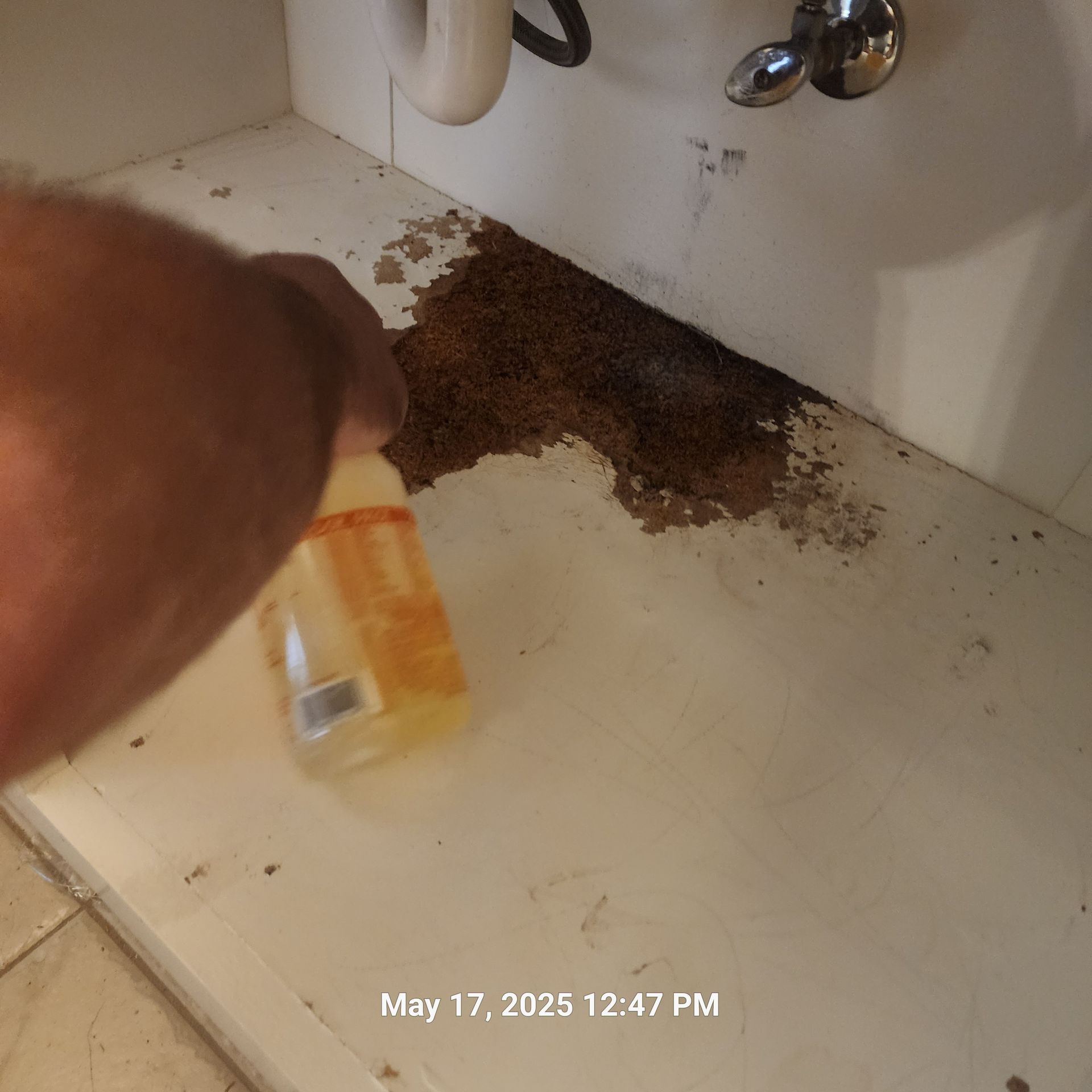 A person is cleaning a sink with a bottle of soap