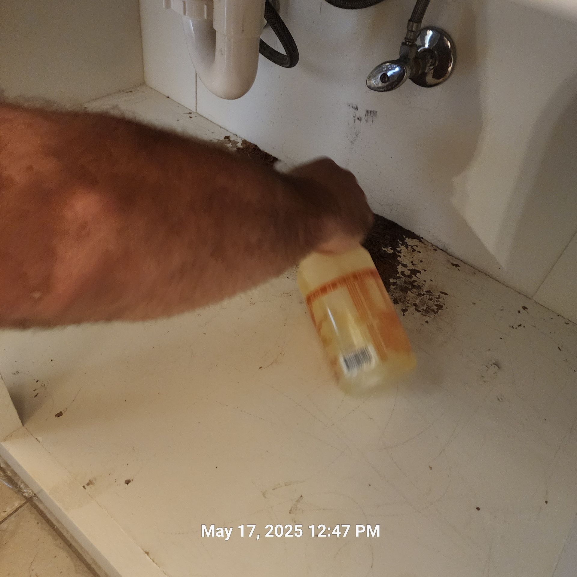 A person is cleaning a sink with a bottle of soap
