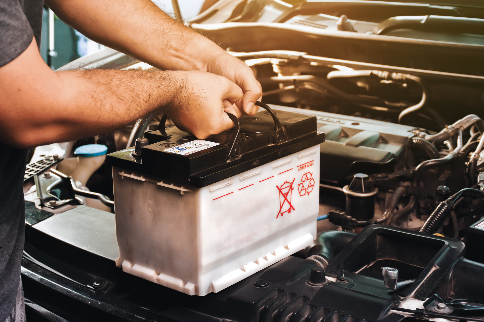 vehicle Batteries Albion Park Rail NSW