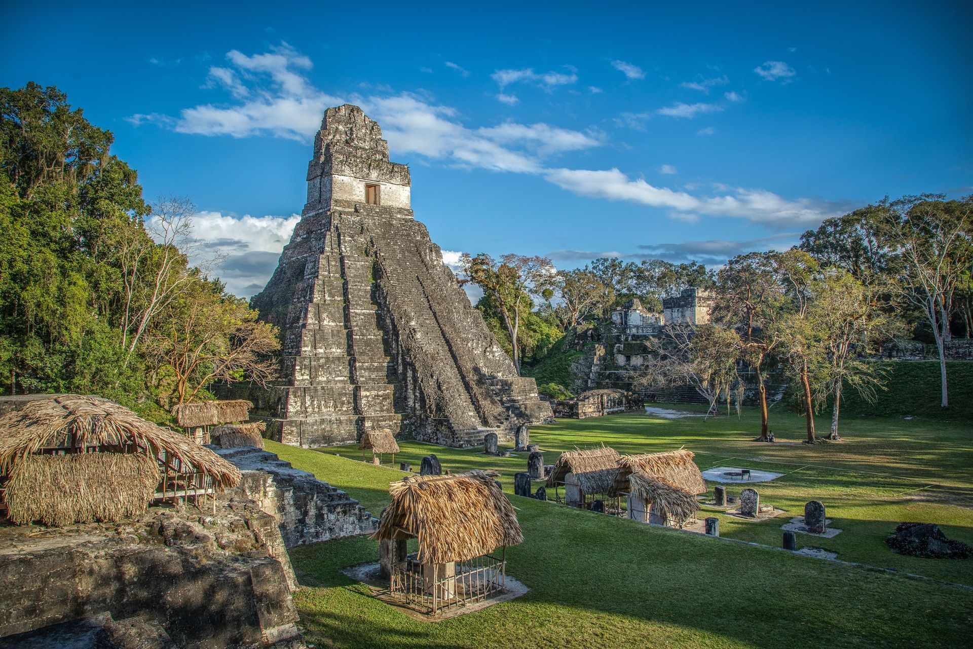 A large pyramid is surrounded by trees and grass in the middle of Great Jaguar, Tikal, Guatemala