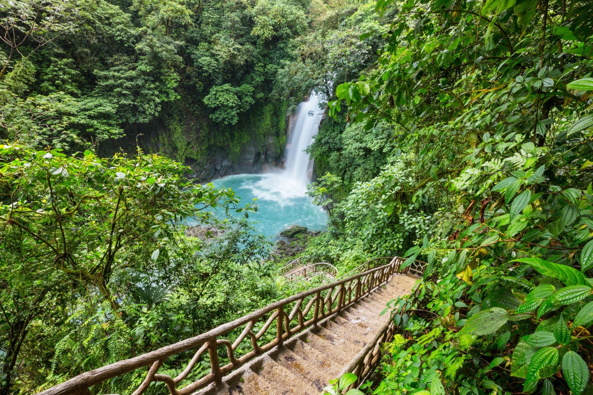 A wooden bridge leading to a waterfall in the middle of a lush green forest.