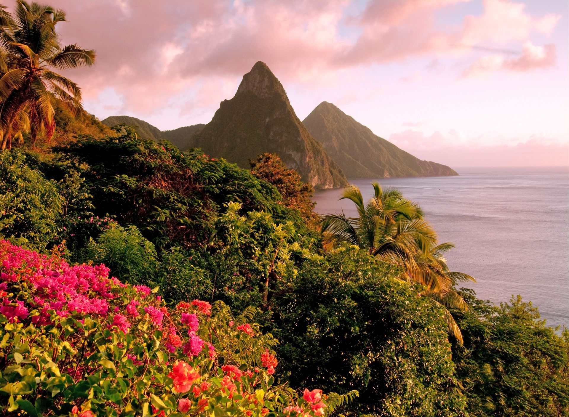 A view of a tropical island with mountains and flowers in the foreground
