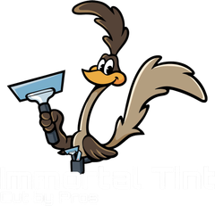 Immortal Tint