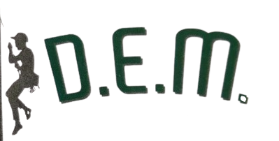 ICONA LOGO