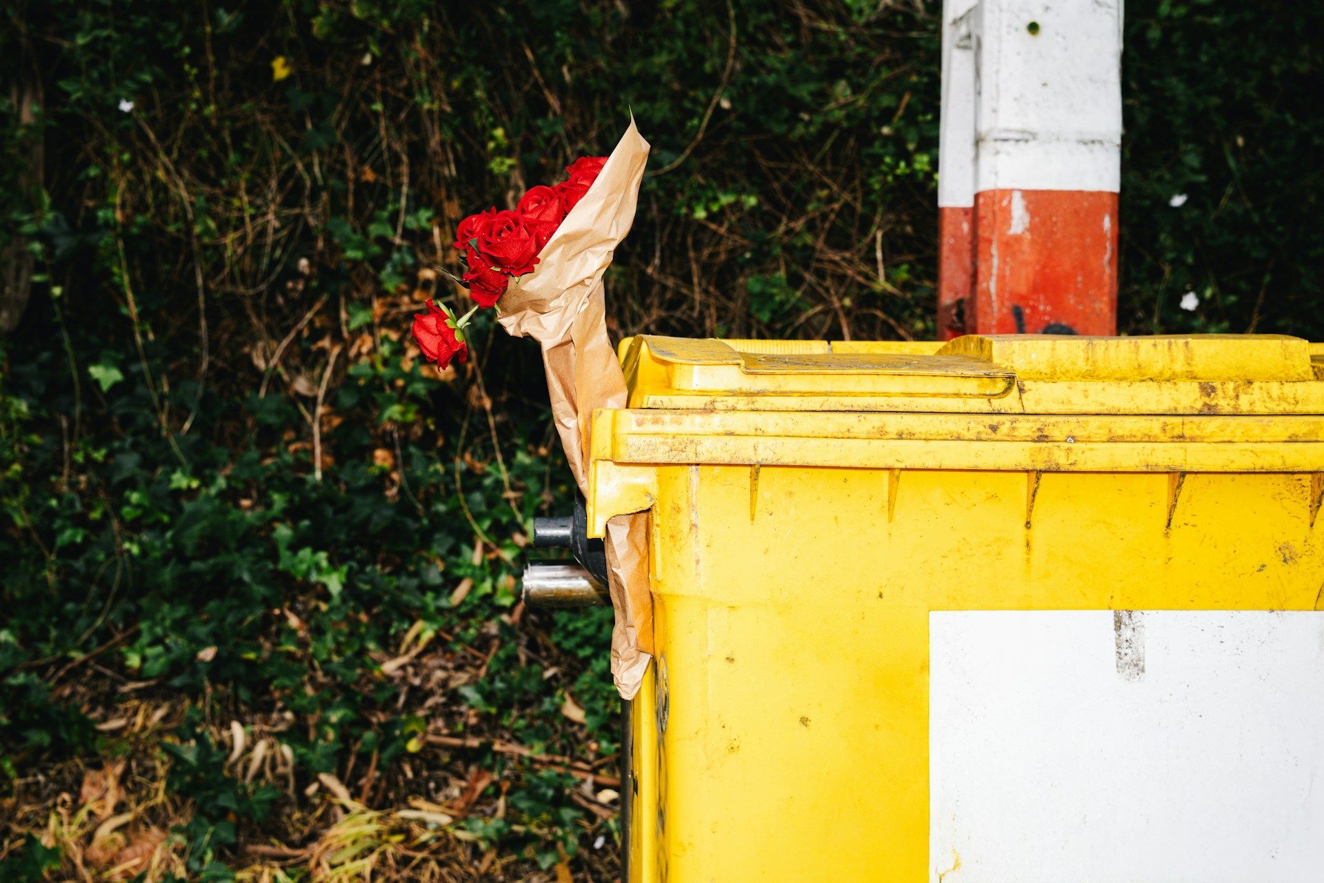 dumpster