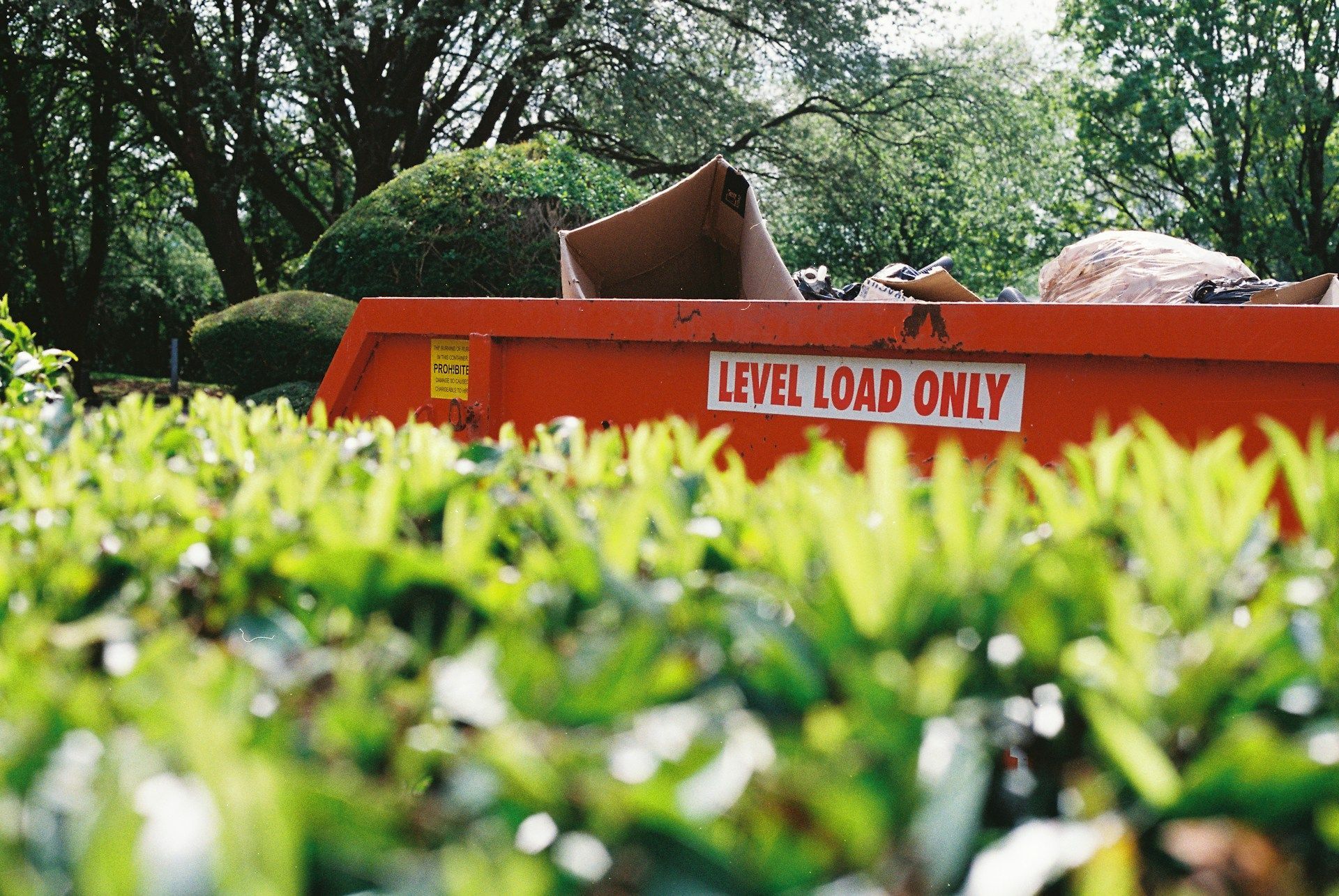 yard waste dumpster rental 