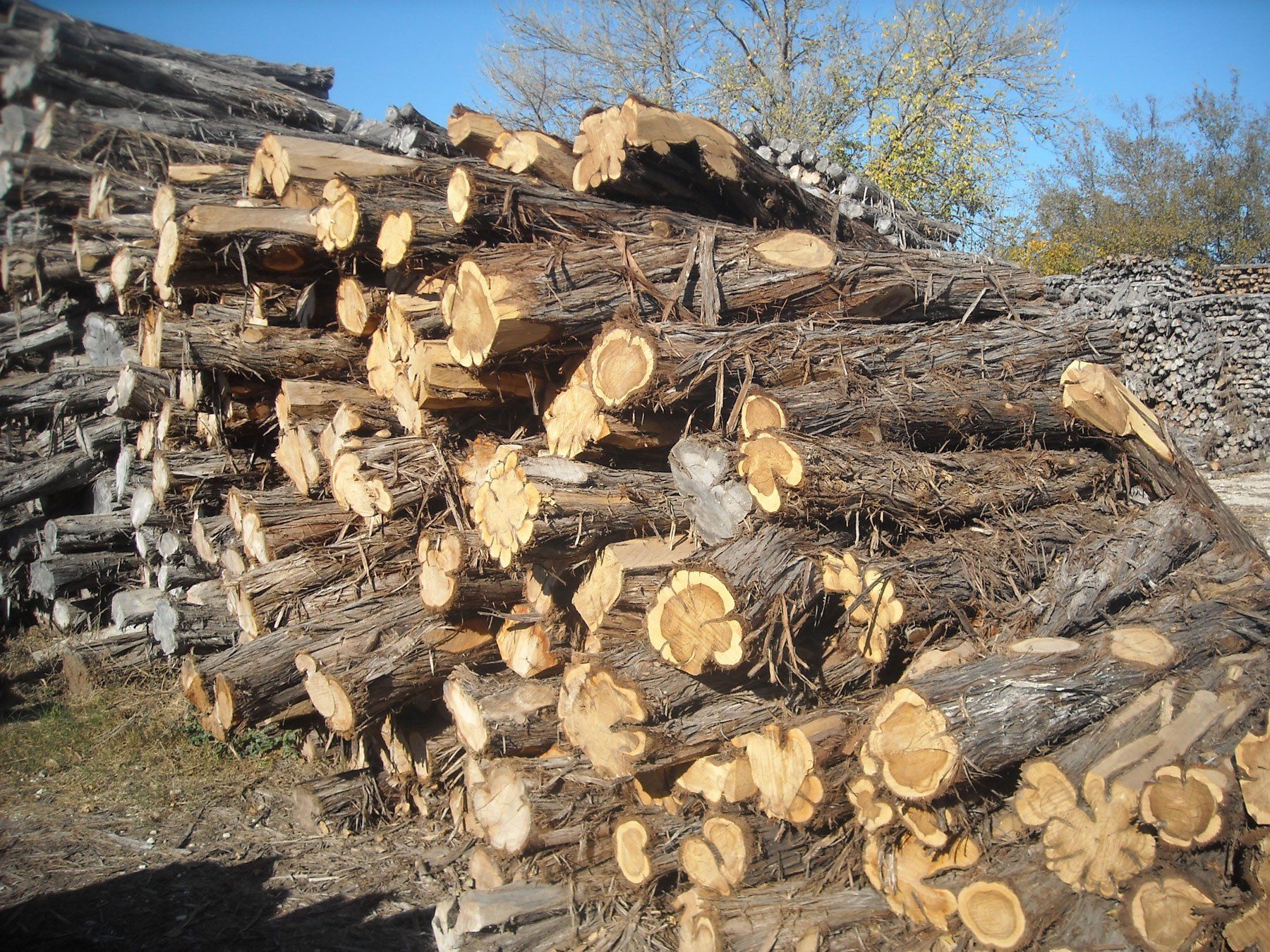 Good heart cedar posts