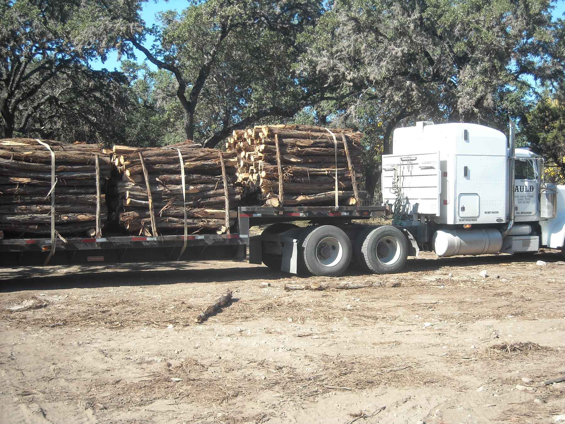 Modern long-haul cedar truck