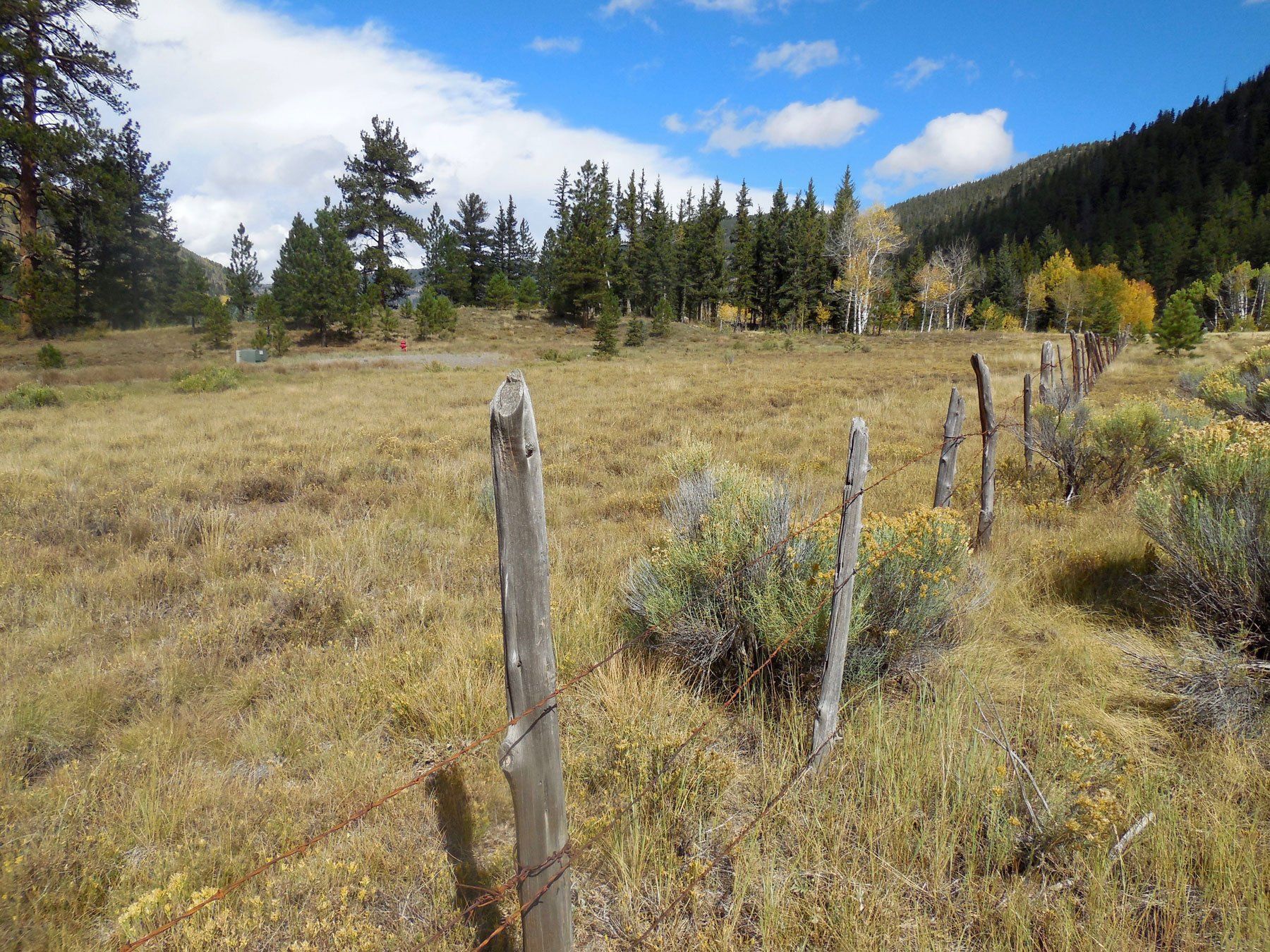 Axe-cut cedar posts in southern Colorado