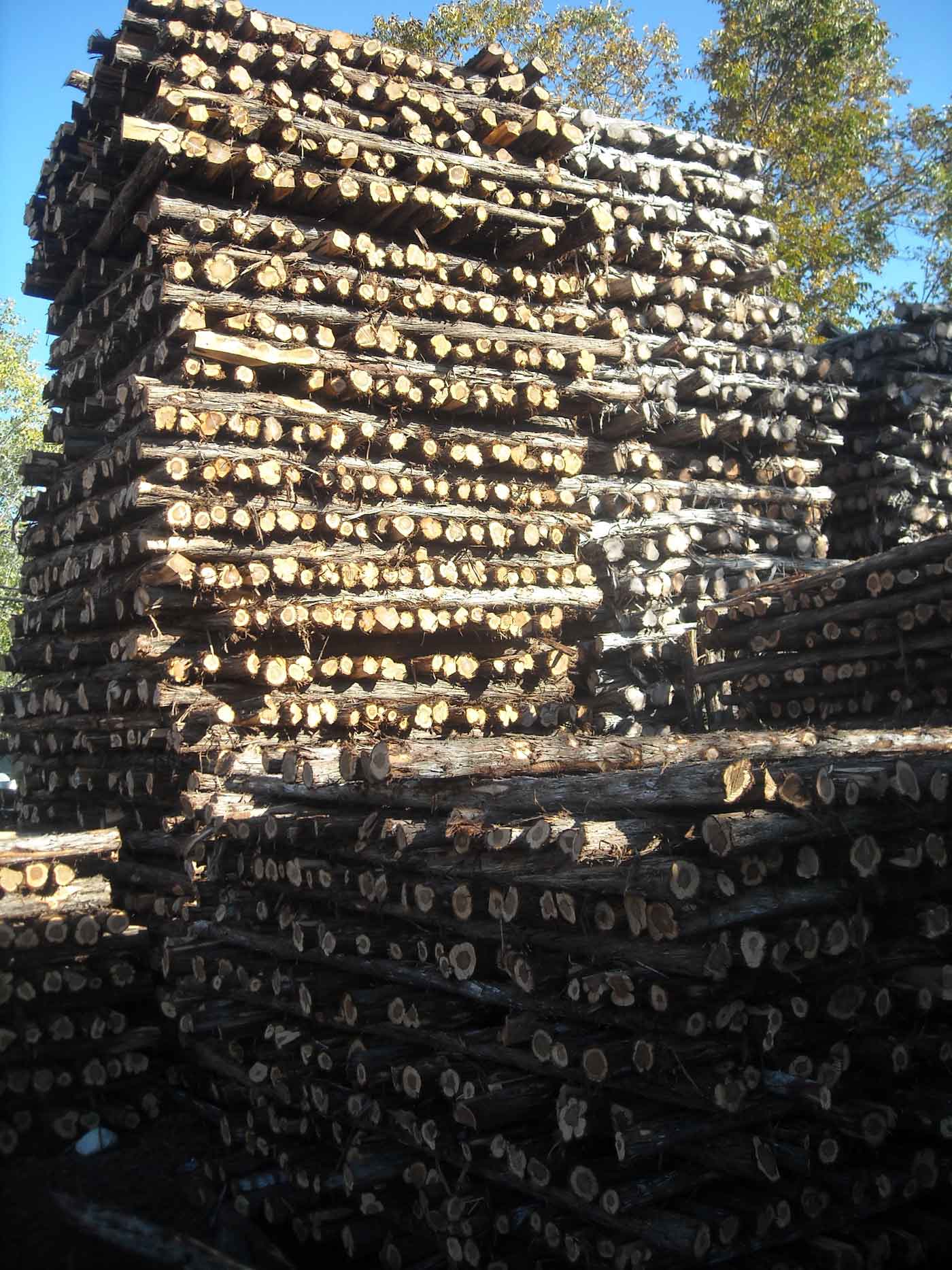 Stephens Cedar Yard today