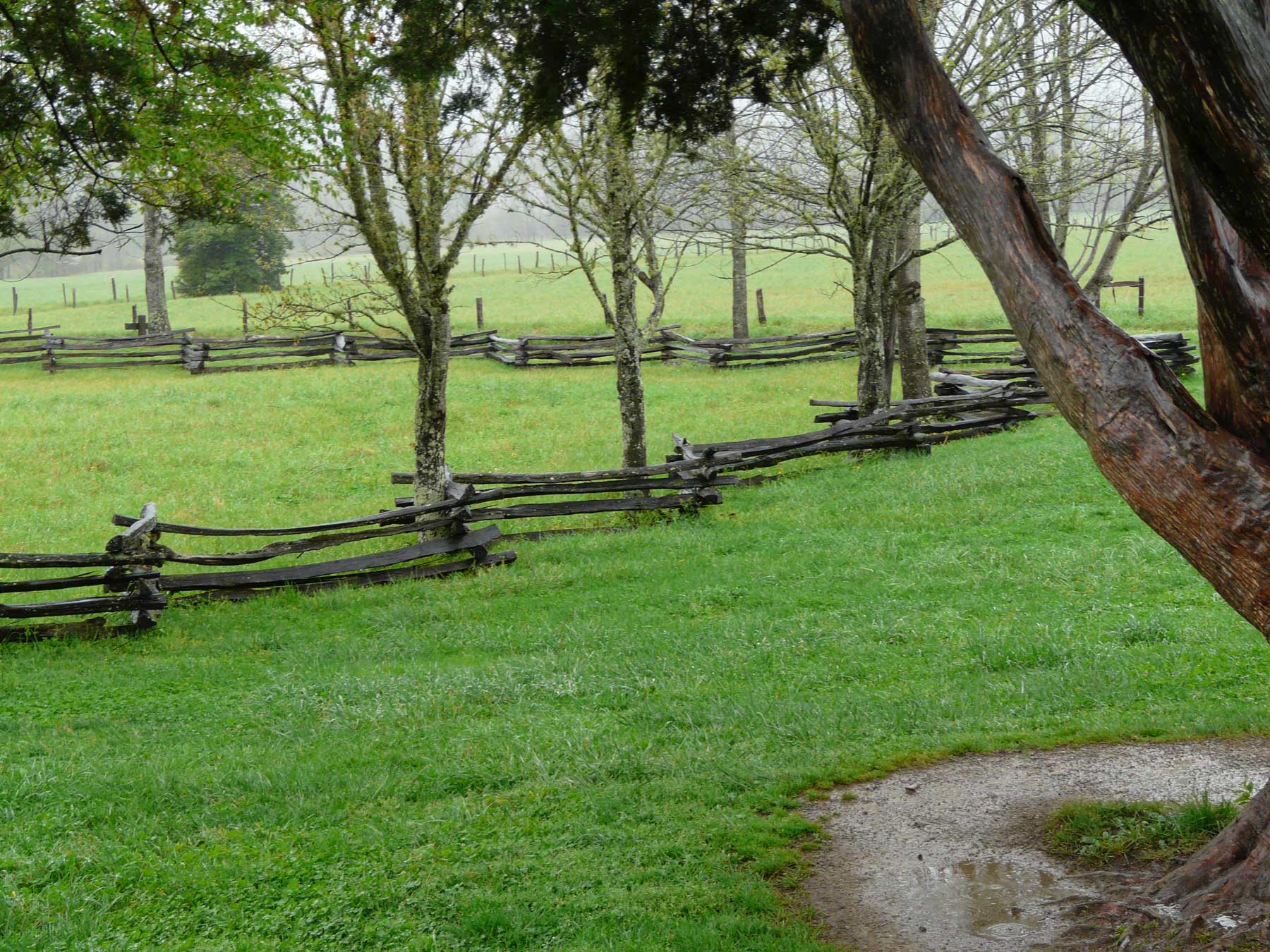Worm fence in Appalachia