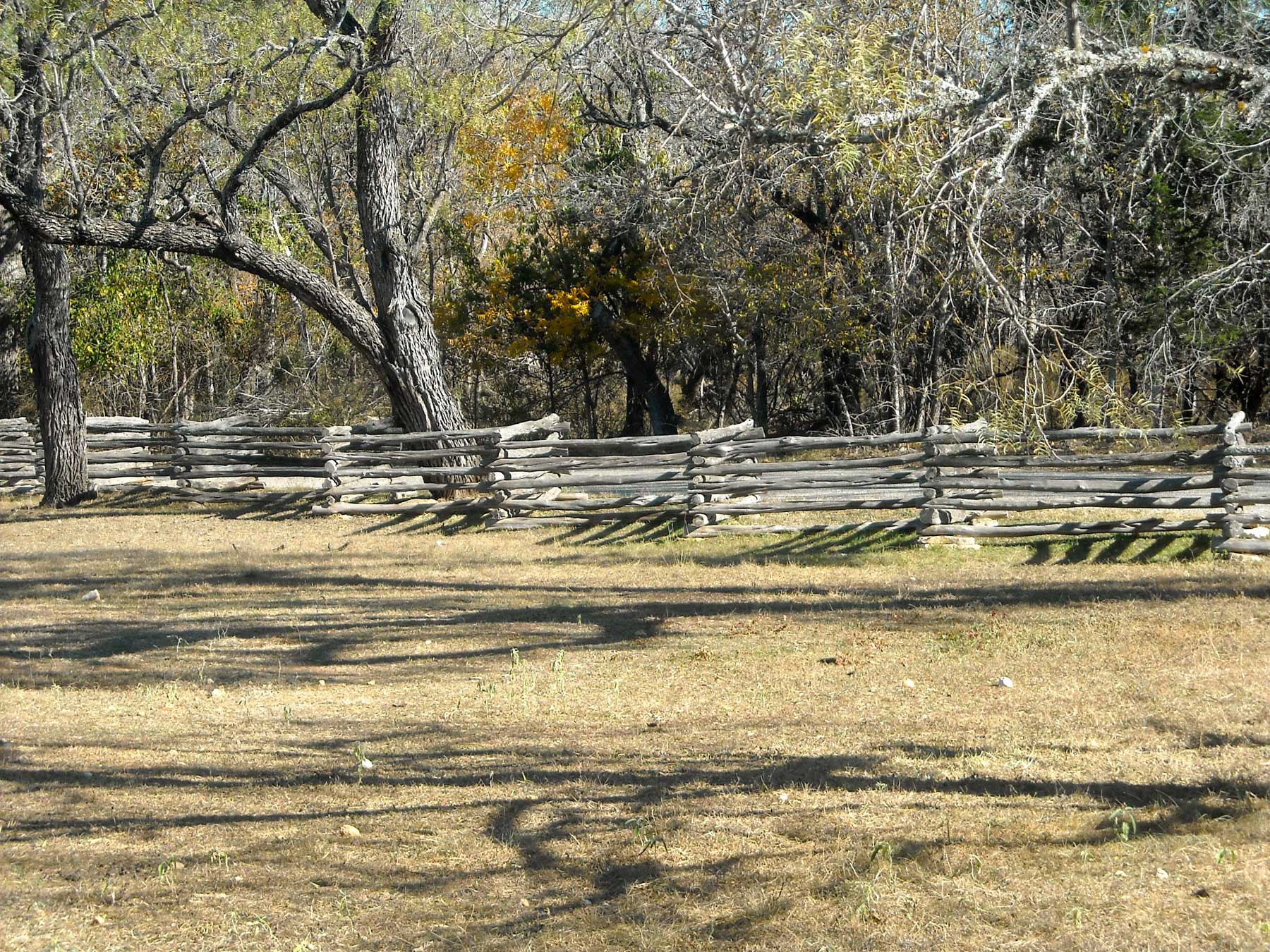 worm fence in the Texas Hill Country